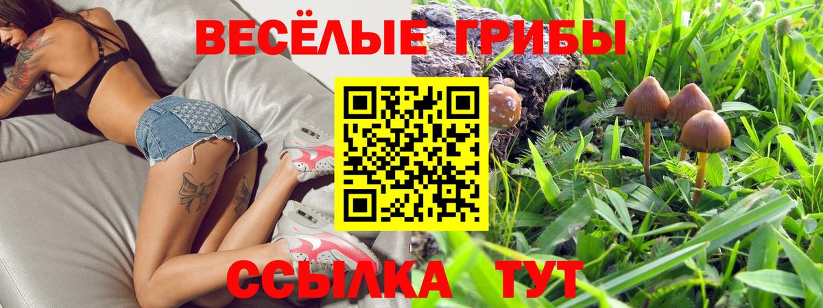 Галлюциногенные грибы Magic Shrooms Новочебоксарск